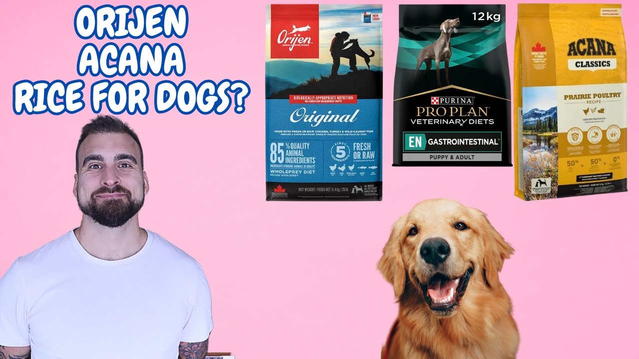 Q&A: PURINA NEWS, Rice FOR DOGS, ACANA - Orijen, Hills, Royal Canin. Your Questions Answered.