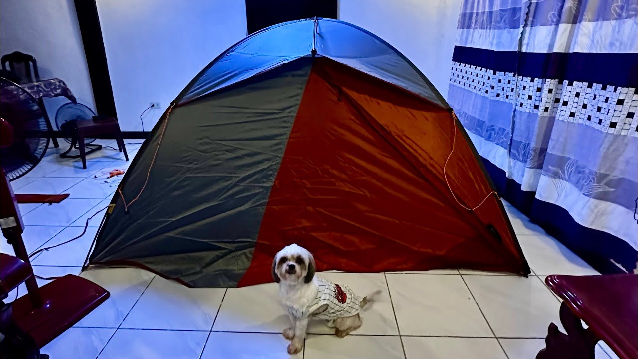 Decathlon Forclaz MT500 3P Trekking Tent | (setup) assemble & disassemble | Azo Edition