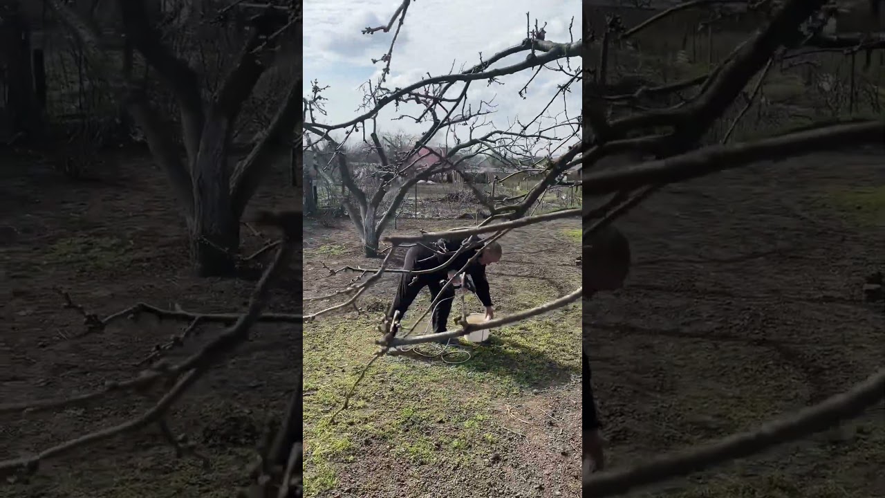 #konteйнер #samoch&oacute;d #bojo #100grn #smartphone #7km #humor #приколи