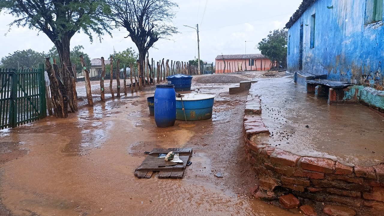 Muita chuva 🙏🌧️/ Sítio Mamoeiro Verdejante PE.