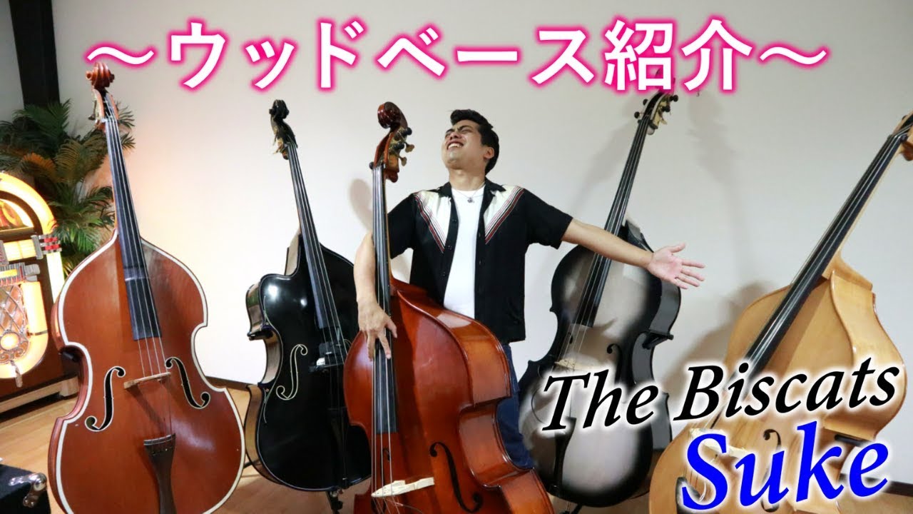 【楽器紹介】ウッドベース全員集合！！
