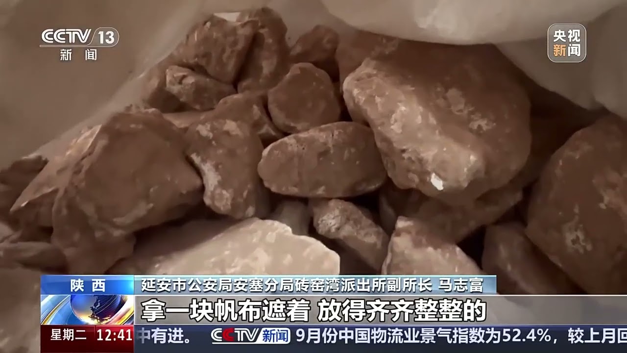 团伙在陕西盗掘3.5吨古生物化石A gang excavated 3.5 tons of ancient biological fossils in Shaanxi.