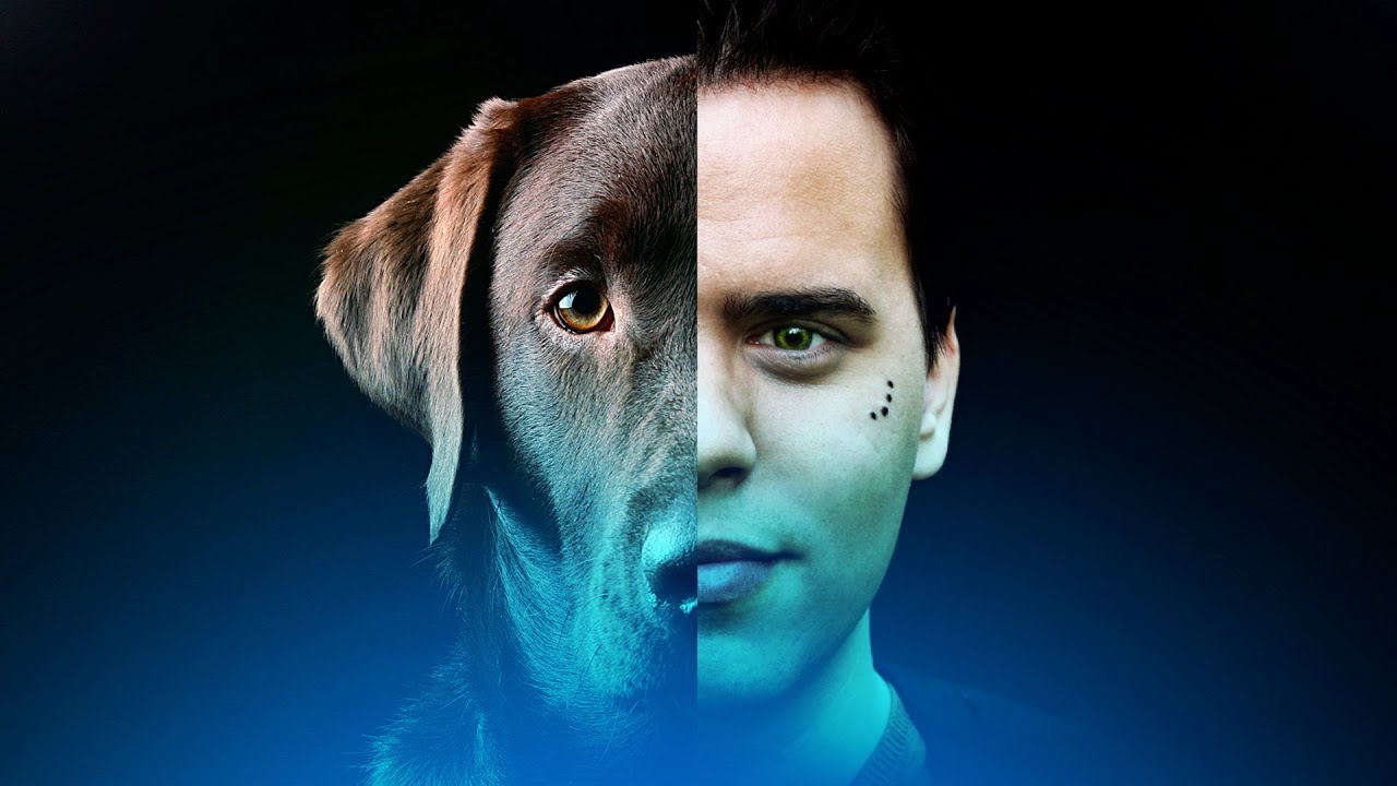 La Conexi&oacute;n Perdida entre los Humanos y los Animales | Walt Forest
