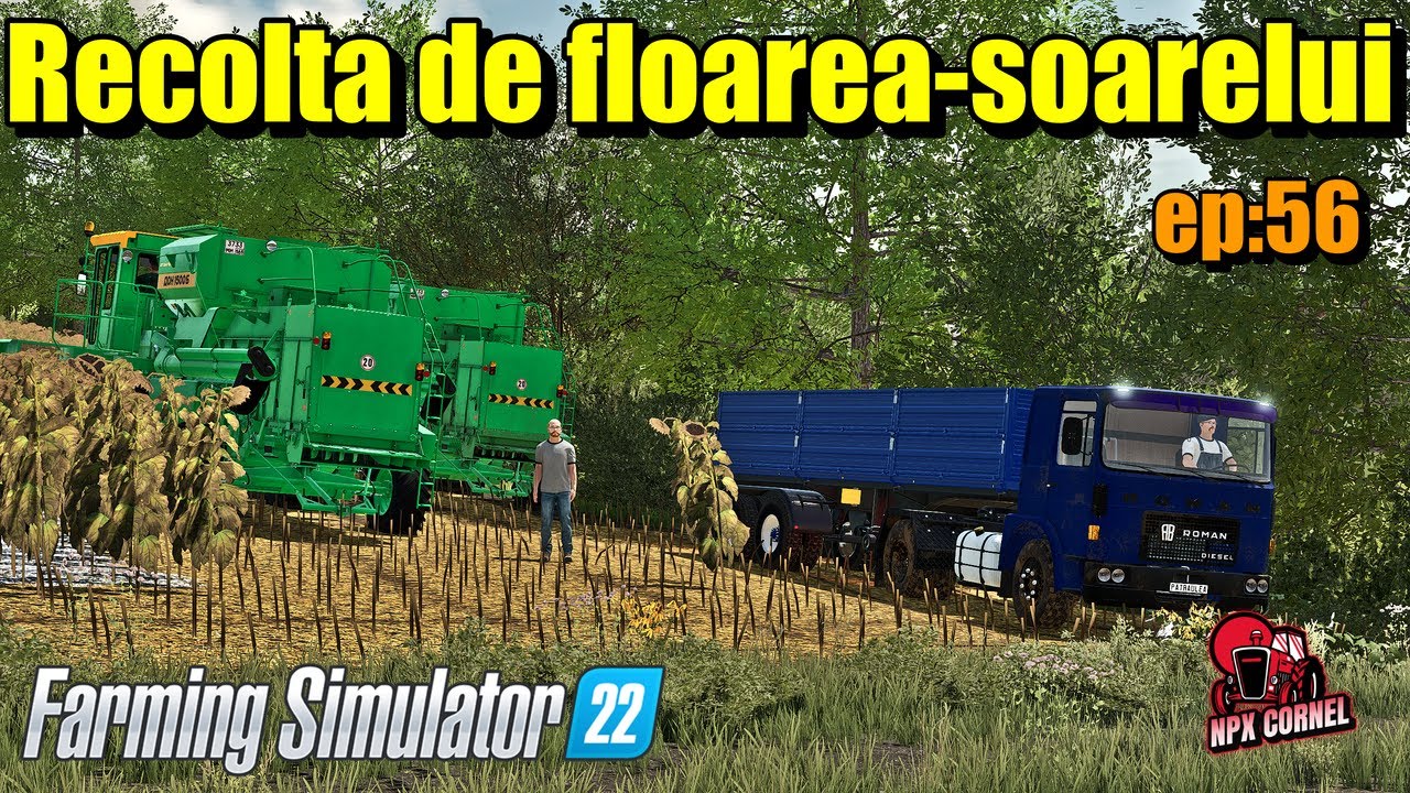 #fs22 Roleplay Romania/Recoltam floarea-soarelui/ep:56