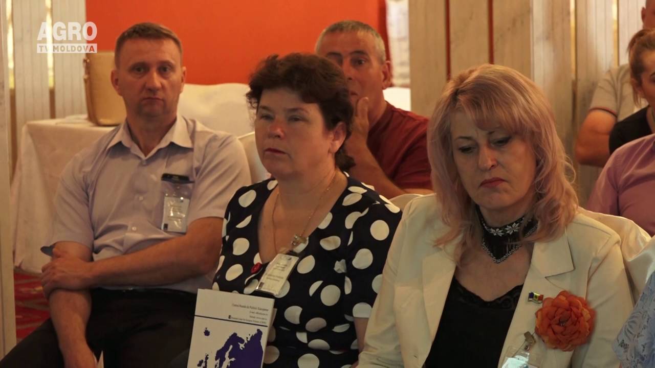 Crearea grupurilor de acțiune locală: posibilități și realități. Din experiența Rom&acirc;niei