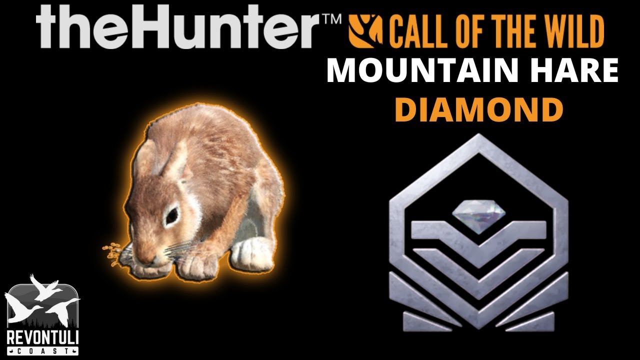 DIAMOND 😲 Mountain Hare (Light Brown) in theHunter Call of the Wild | REVONTULI COAST