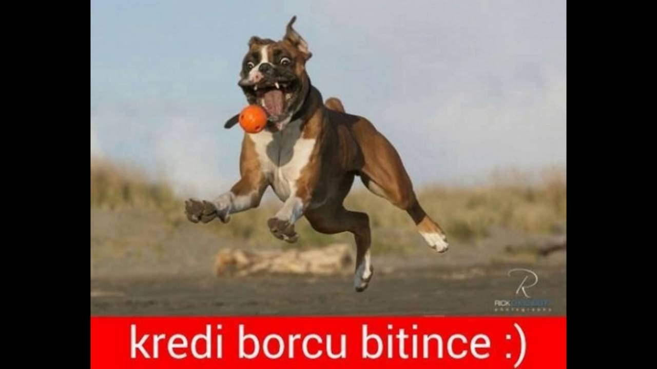 Caps Türkiye: Komik ve eğlenceli Capsler