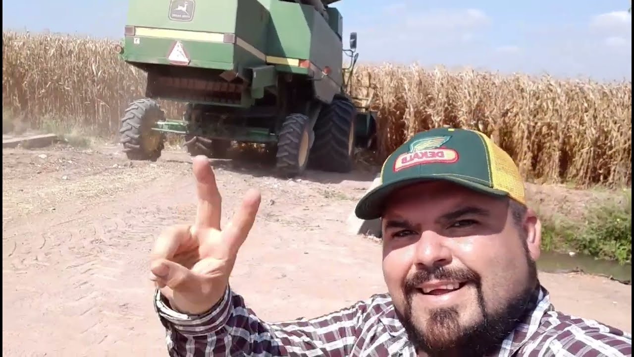 Trillando Maíz🌽Del Tio Comiendo  Ceviche Y Adentro De La Trilladora❌En  Guasave Sinaloa