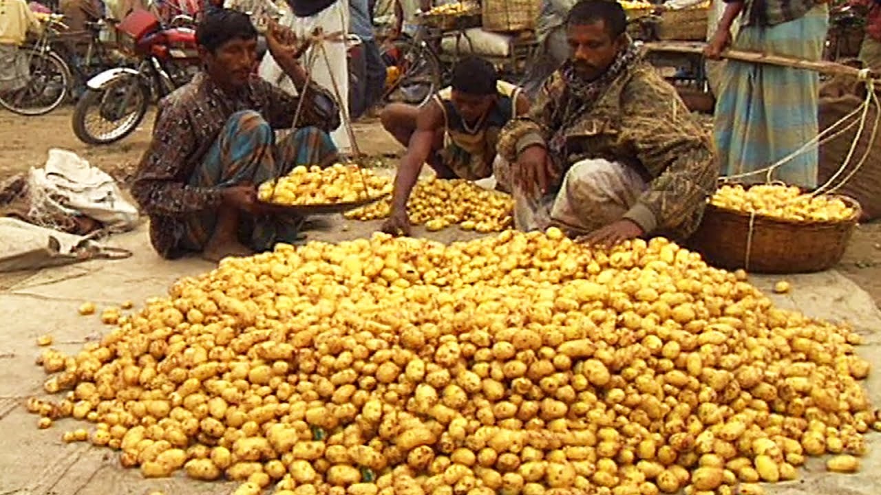 বগুড়ার সবজি হাট | FAMOUS VEGETABLE MARKET AT BOGRA