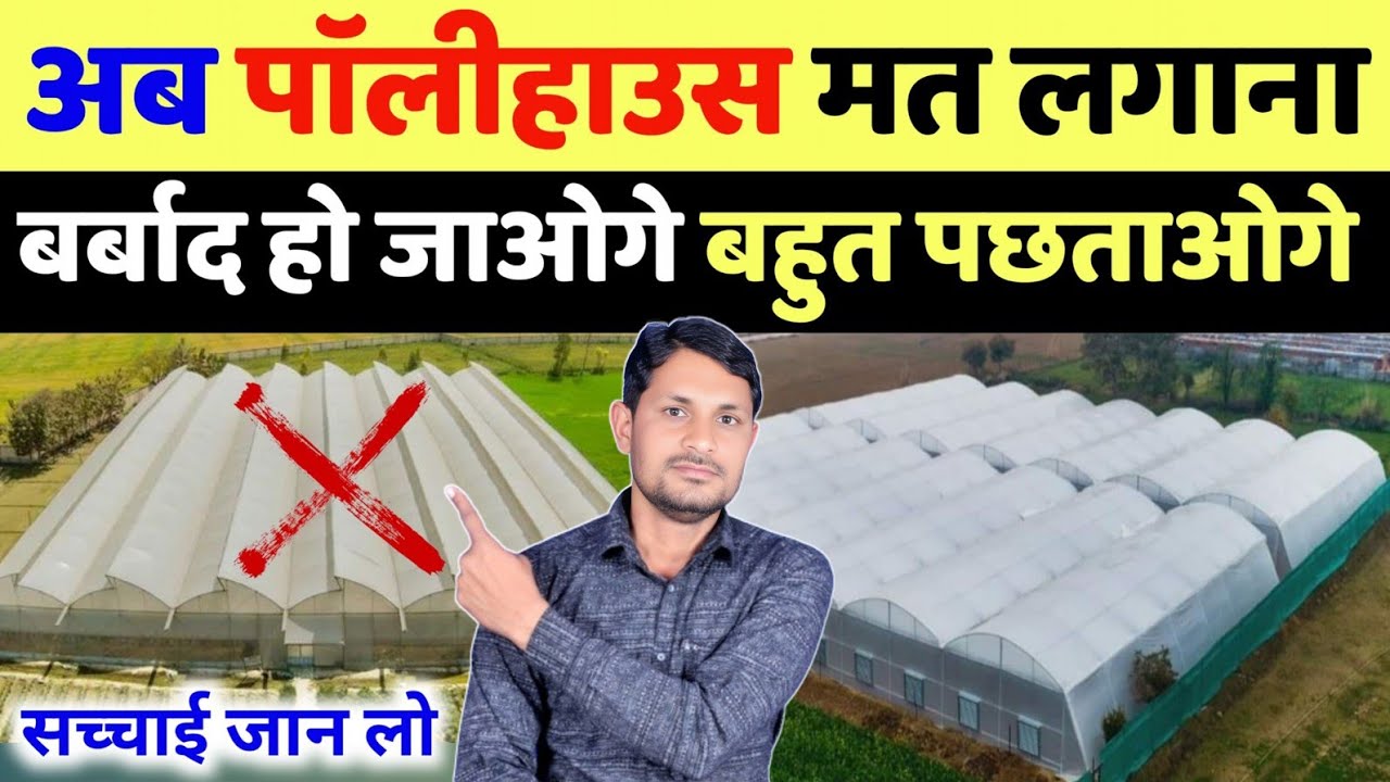 पाॅलीहाउस मे घाटा या मुनाफा पूरी सच्चाई | polyhouse farming in india | polyhouse me kheti kaise kare