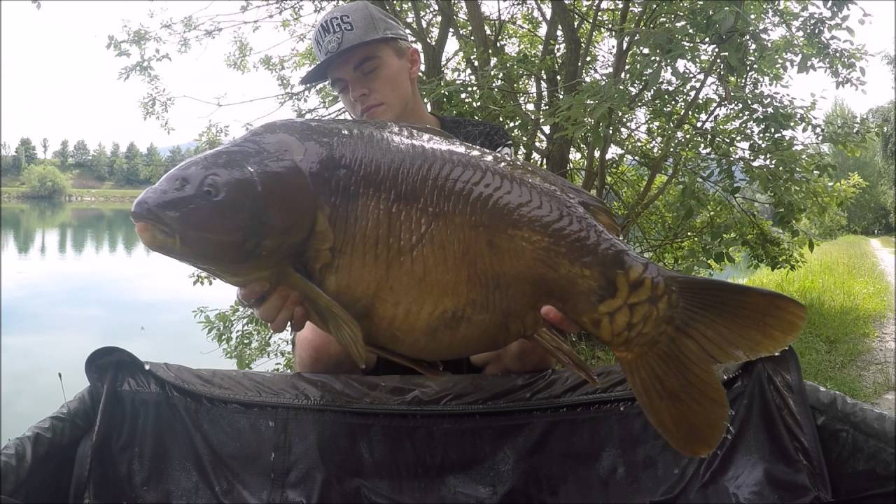 CARPFISHING AUSTRIA - Kamsker Session 2. #GoProHERO4