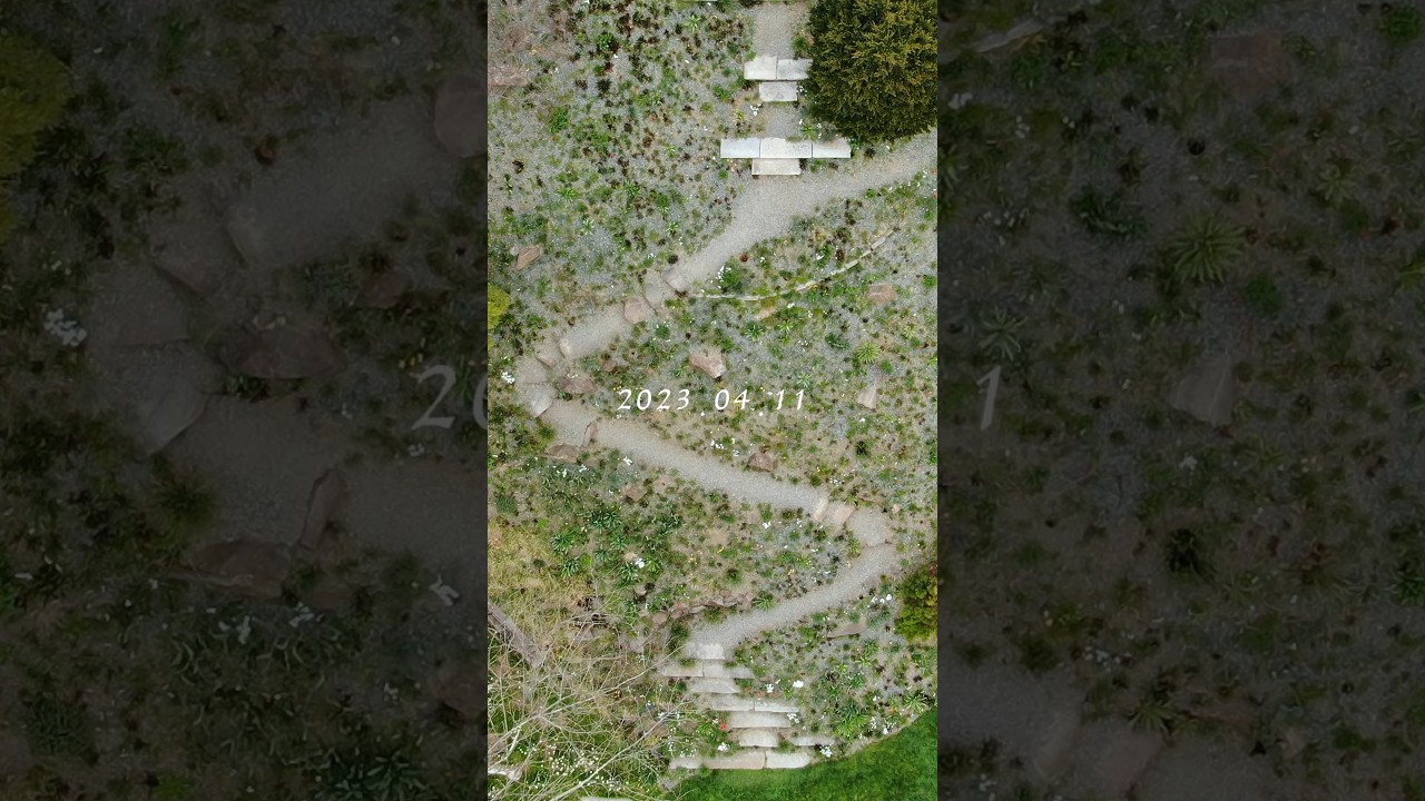 【GIF series 3 of 6】 Rock Ledge Garden through the seasons in 2023 at Chanticleer Garden, Wayne PA