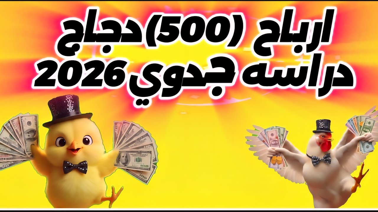 ارباح وتكلفه 5000 فرخه دراسه جدوي2026#دواجن_اون_لاين #تربية_الطيور 