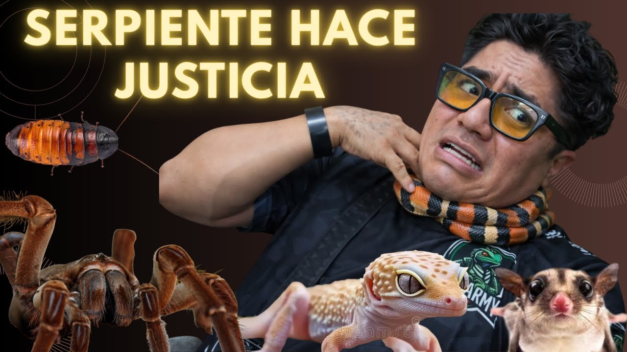 🐊🦎 SIDERAL visita BIOSFERA un zoológico EXÓTICO 🐍🦔🦎serpiente estrangula a la beba 😂😂