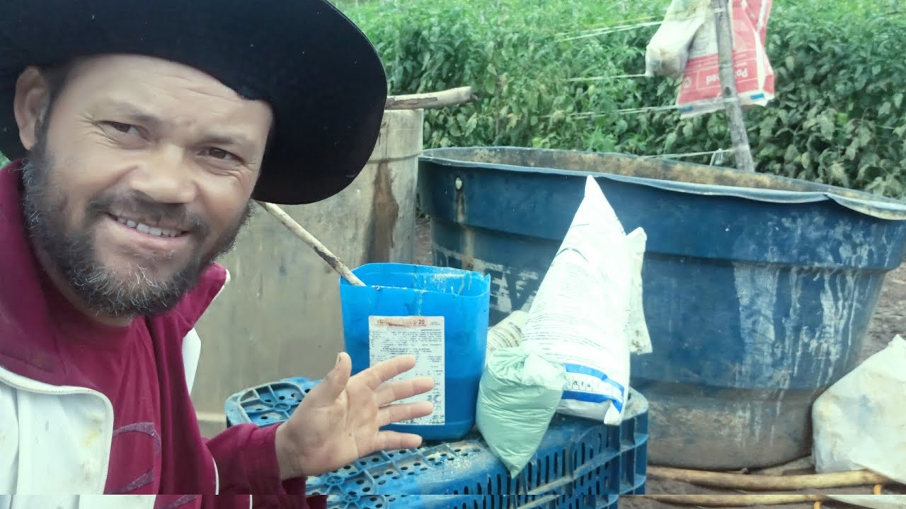 Como usar cobre na plantacões de tomate para evitar ou cura bacteriana cousada pela chuva.