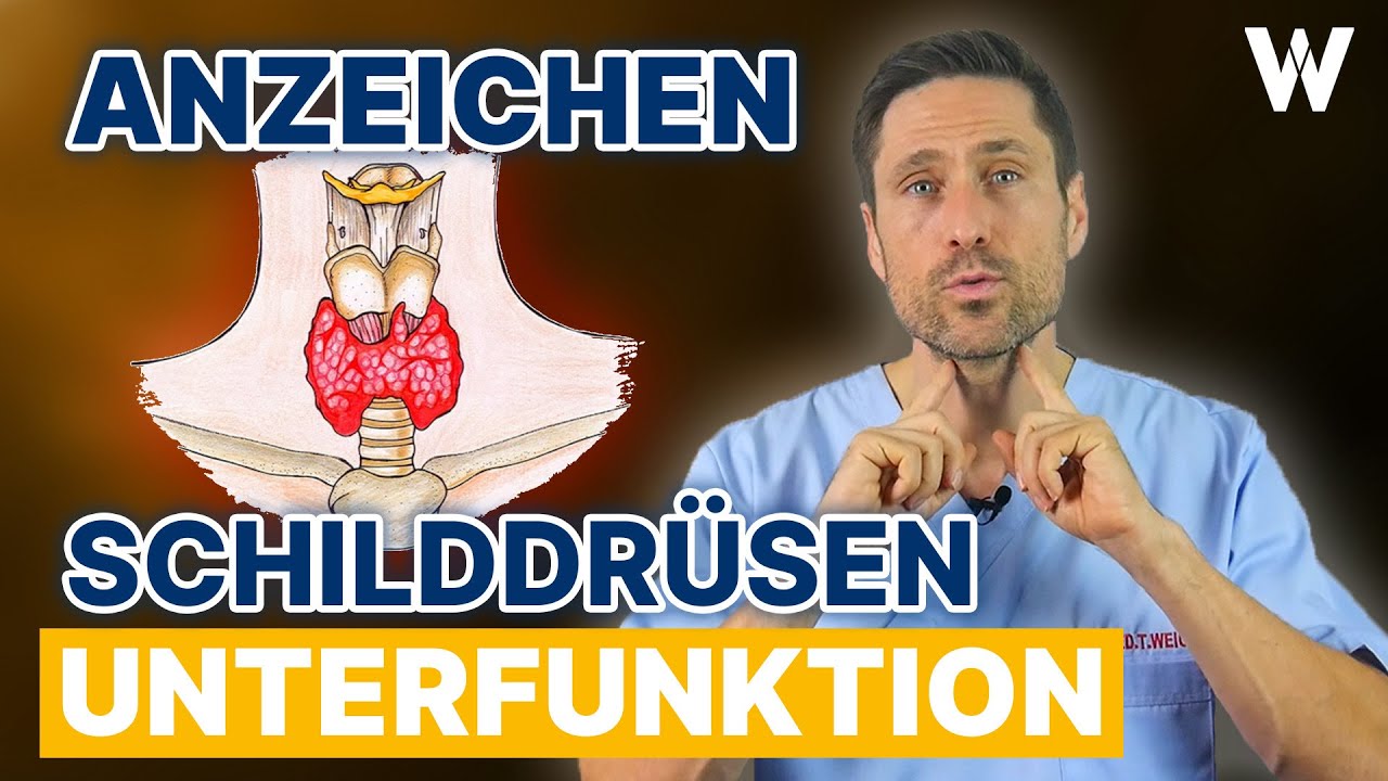 Schilddr&uuml;senunterfunktion: Treten diese Anzeichen bereits auf? H&auml;ufige Symptome bei Hashimoto kennen