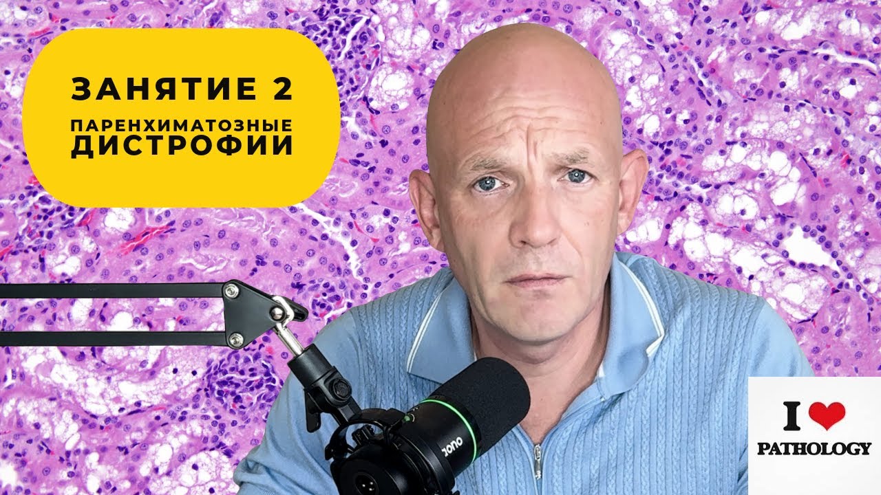 Повреждение. Паренхиматозные (внутриклеточные) дистрофии - краткий обзор занятия №2