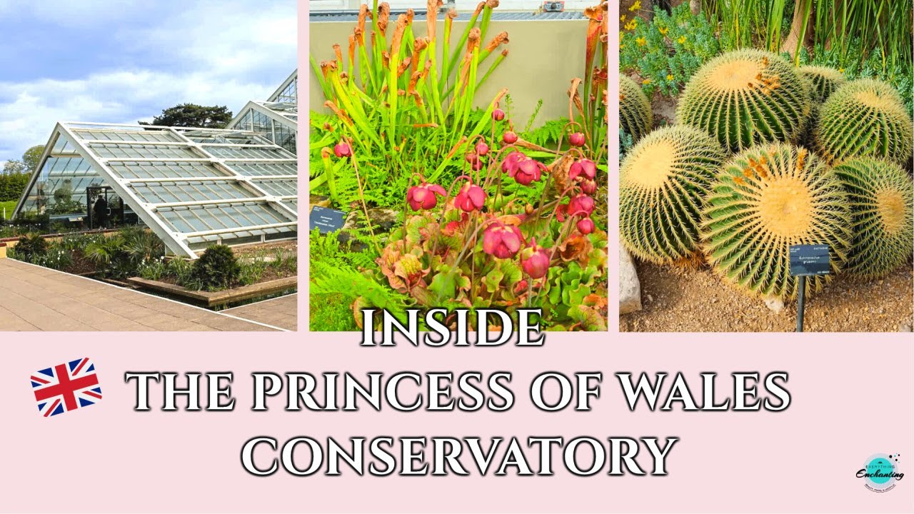 Kew Gardens Princess of Wales Conservatory tour | Carnivorous, cactus tropical plants, London, UK