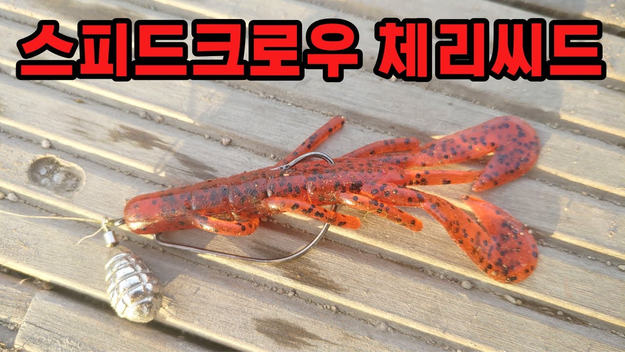 스피드크로우 체리씨드 잘 먹힐까? / 배스낚시