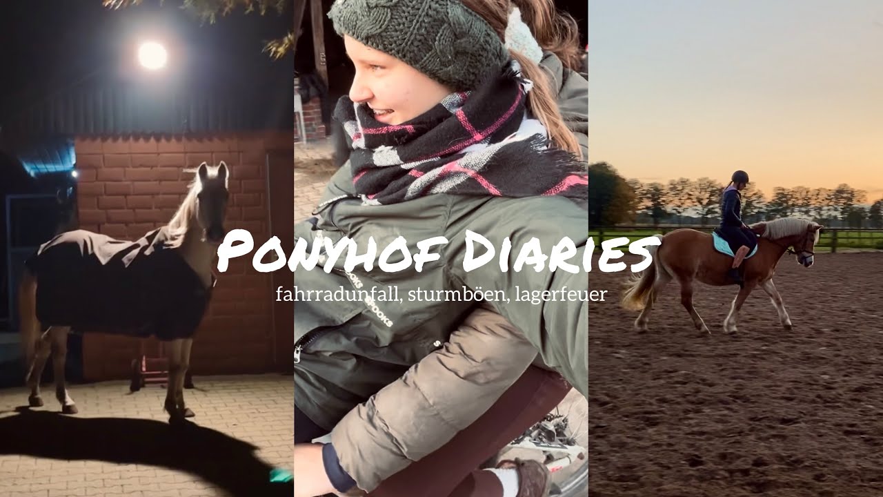 #5.2 ponyhof diaries | herbst 2.nds/nrw