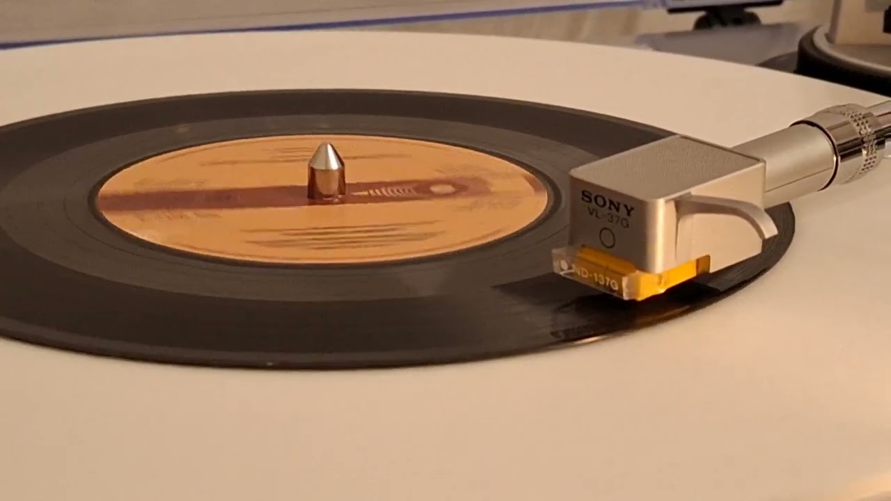 stereo Jenny Wren - I've Danced With A Man