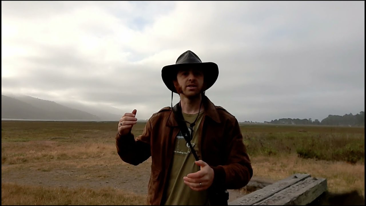 Bolinas Lagoon and Why it's Important