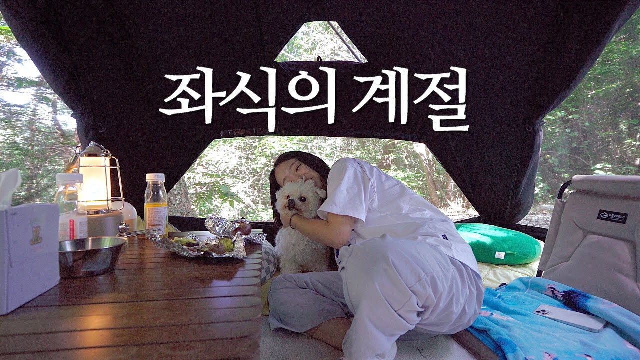 Кемпинг осенью с корейской девушкой и любовной собакой / Соло-кампинг