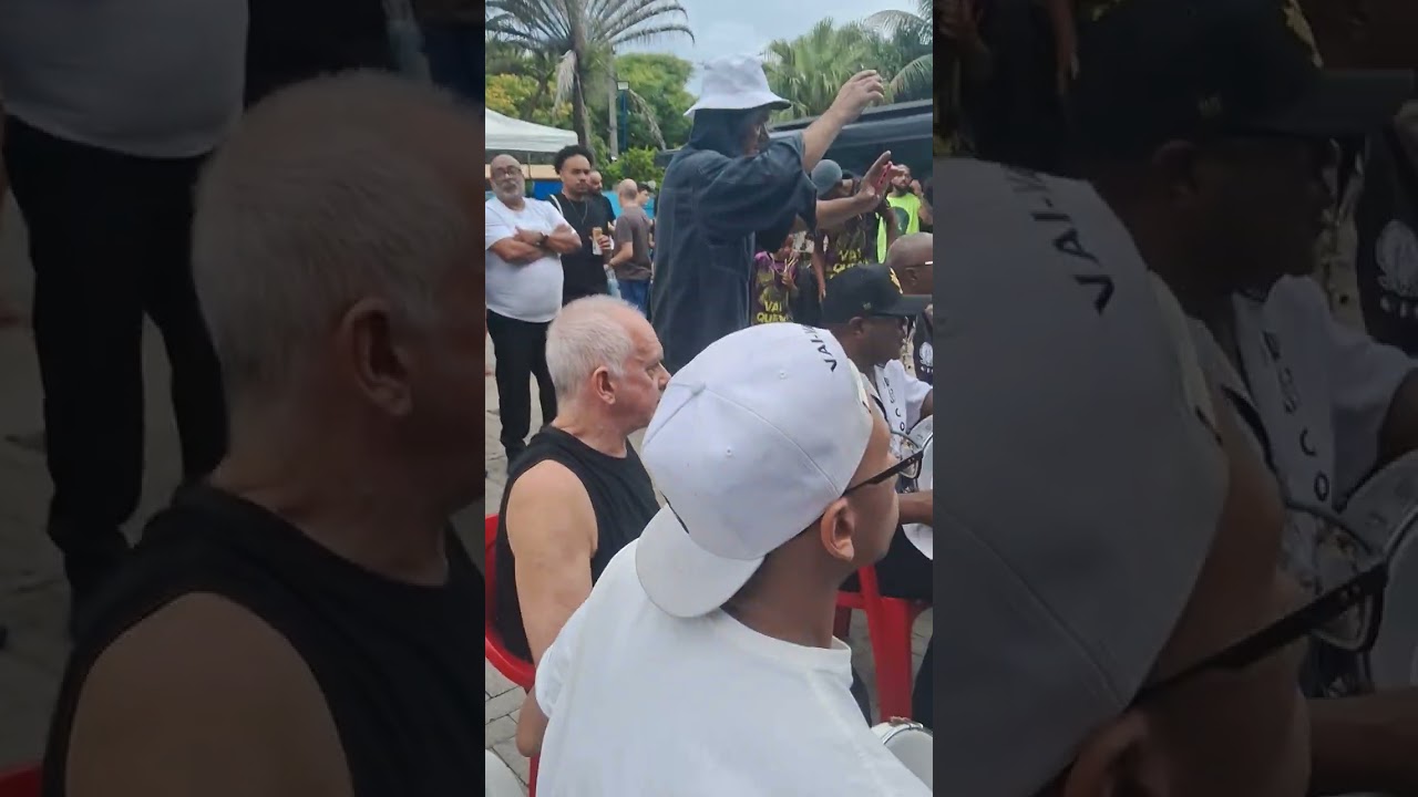 Roda de Samba da Ala de Compositores Vai-Vai