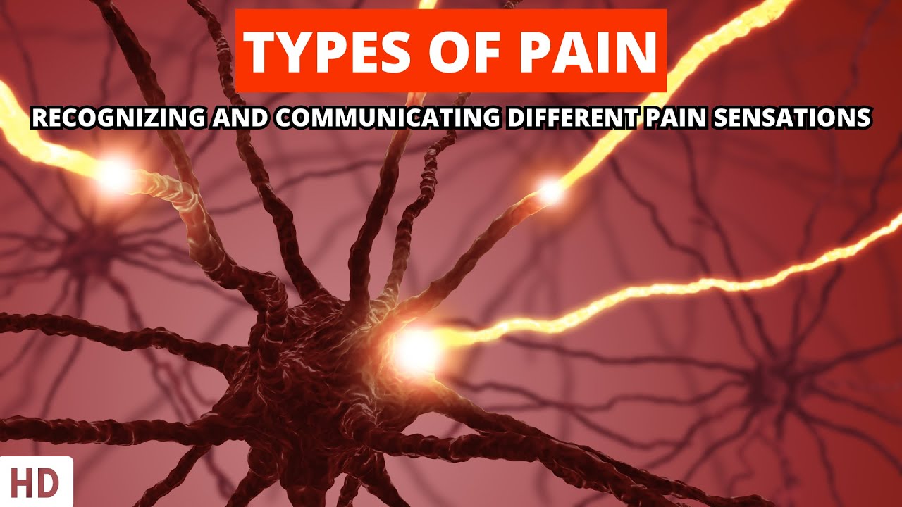 From Aching to Burning: Decoding the Diverse Types of Pain