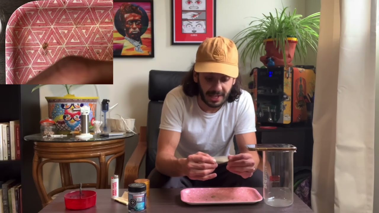 Master Kush strain review