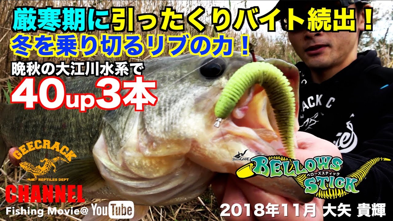 【バス釣り】40up3本！厳寒期に引ったくりバイト続出！冬を乗り切るリブの力（大江川・五三川水系：大矢貴輝）