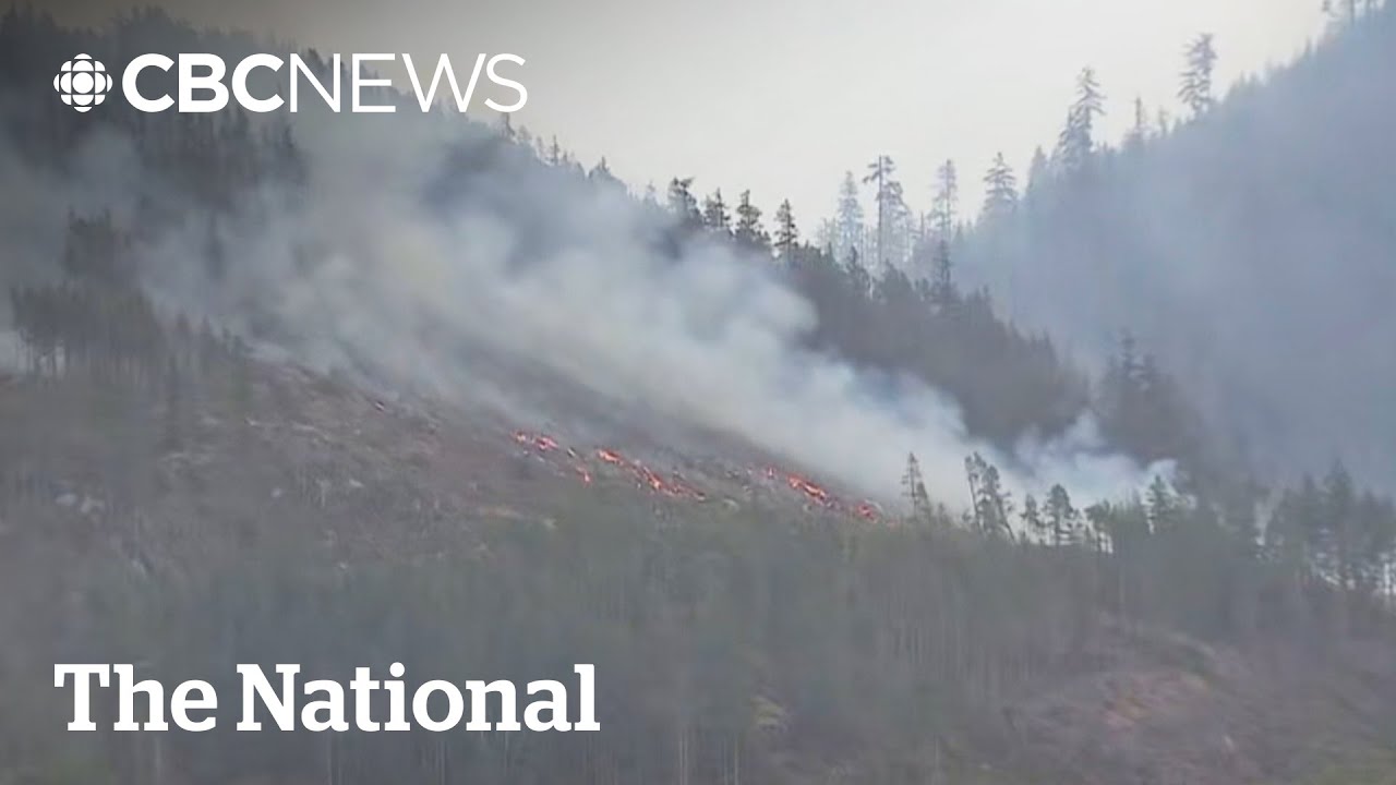 Vancouver Island wildfire burning just 8 km from Port Alberni