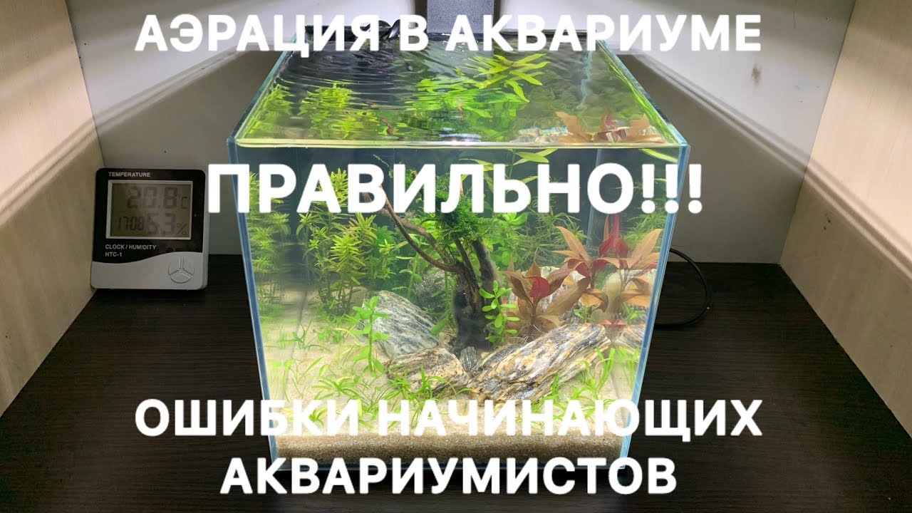 Аэрация в аквариуме