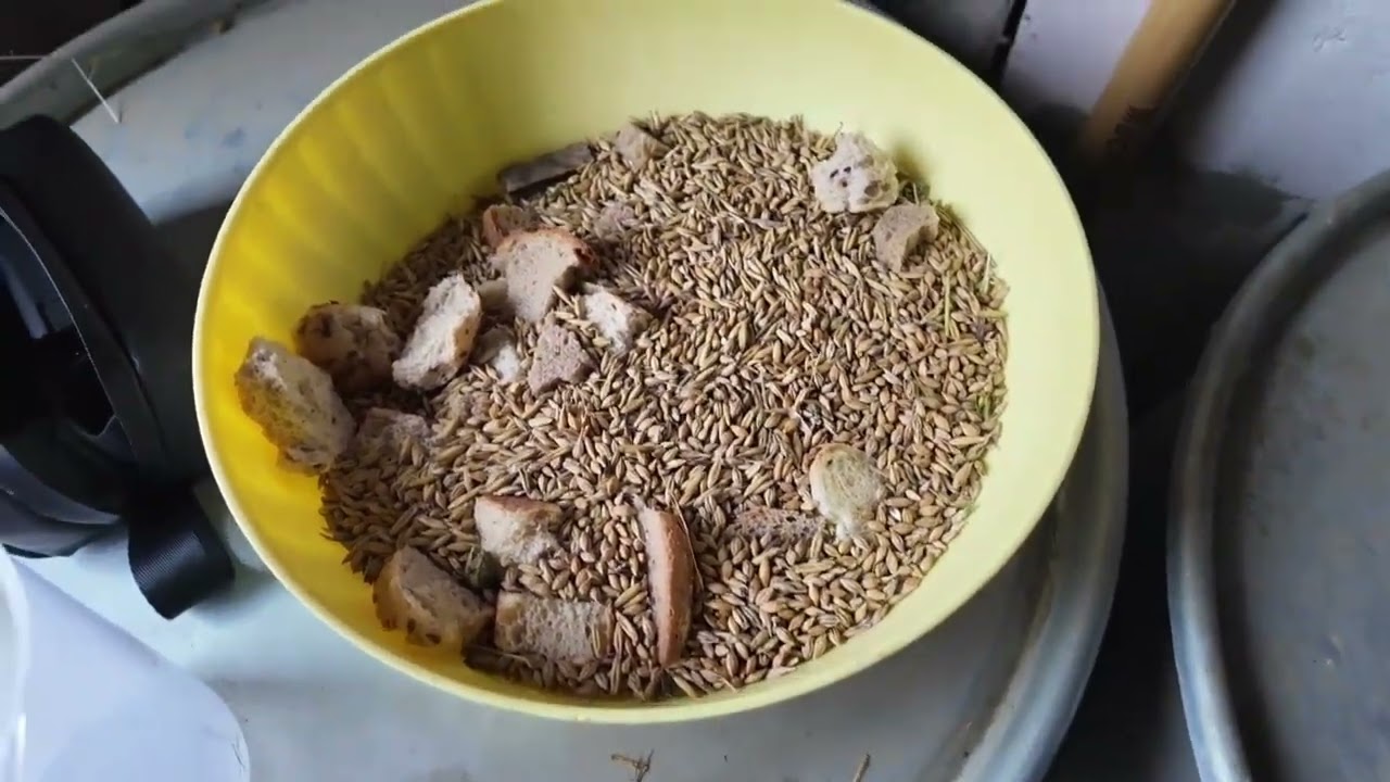 Něco jako vlog 3