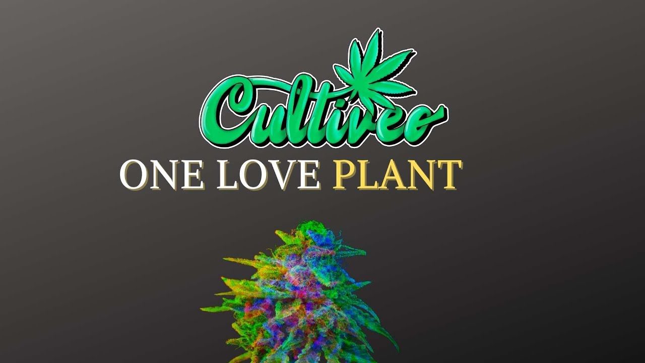 CULTIVEO ONE LOVE PLANT
