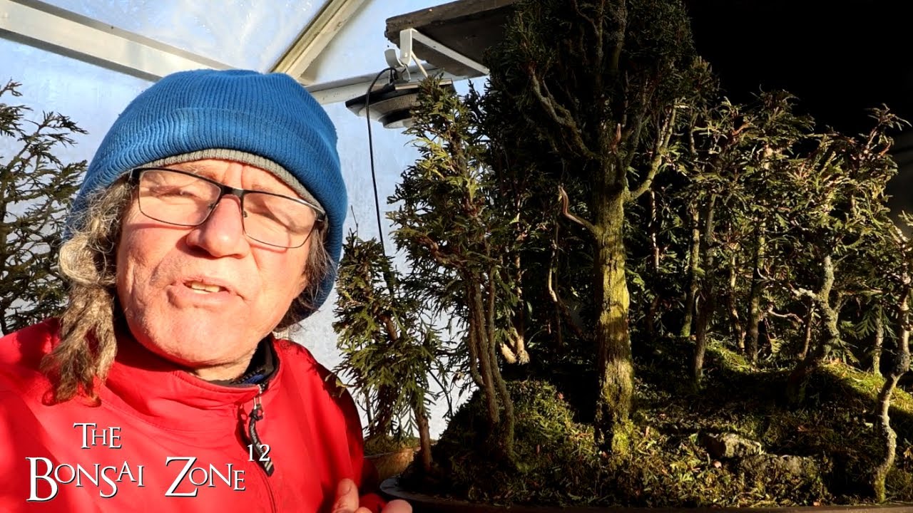 Pruning My Avatar Grove, Part 2, The Bonsai Zone, Jan 2025