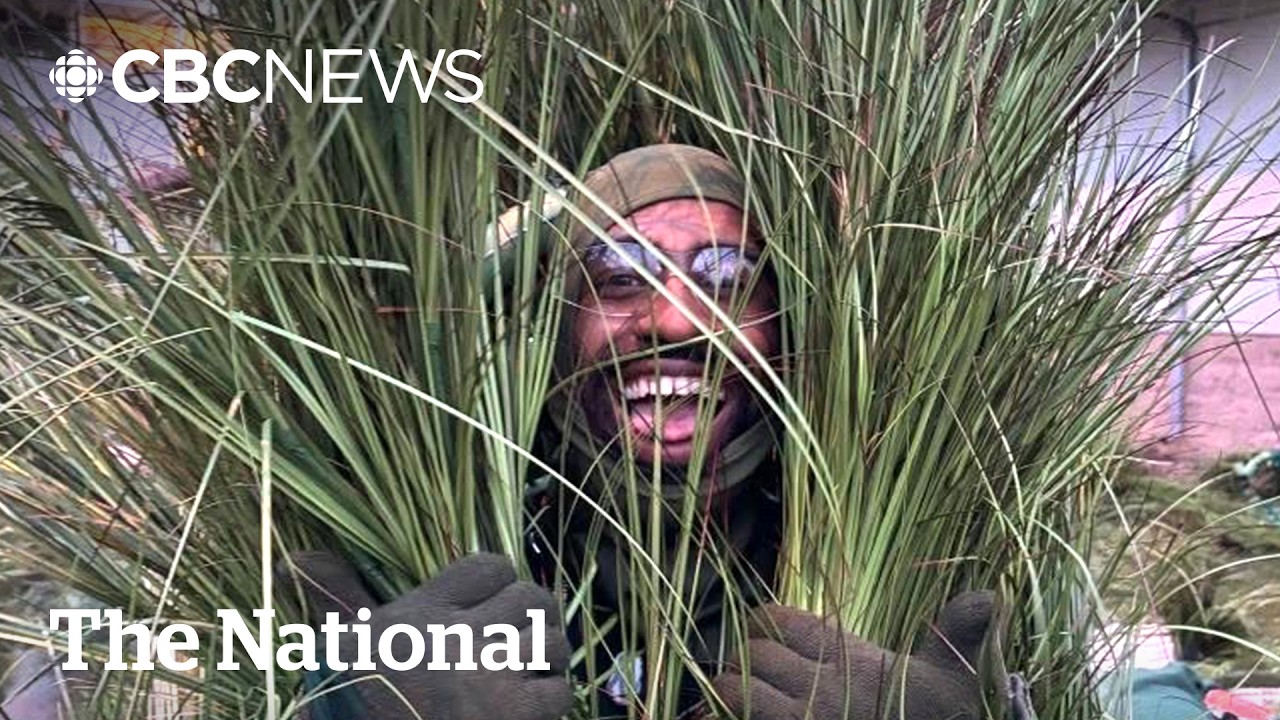 #TheMoment he was grass in Bad Bunny's Super Bowl half-time show