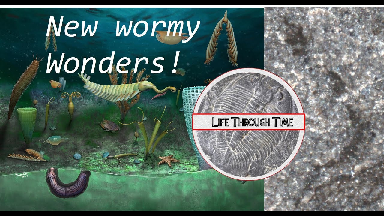 Castle Bank: a new discovery