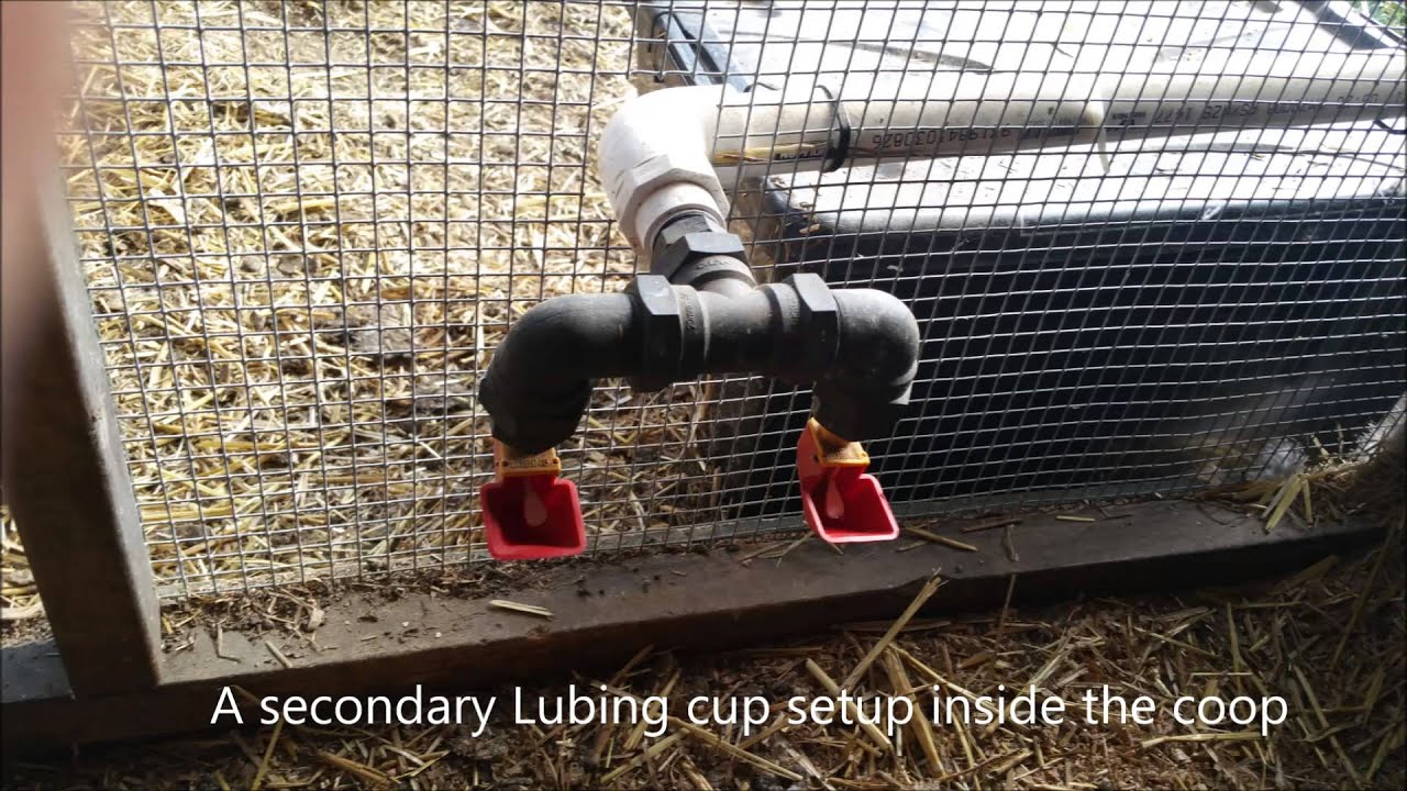 Chicken watering and feeding systems