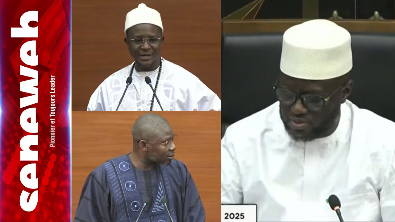 Cheikh Bara Enflamme l'hémicycle, Un Autre Député taquine El Malick Ndiaye: 