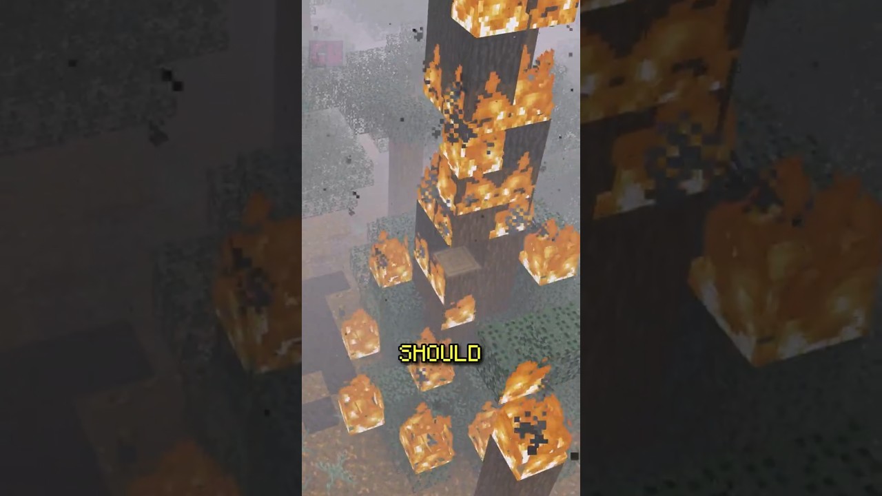 This is what fire SHOULD do in Minecraft