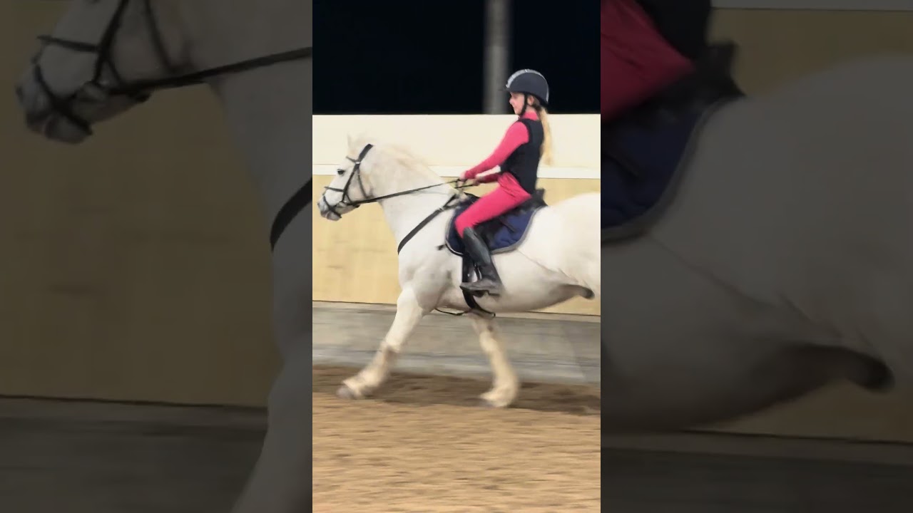 LATE LESSON TIME #horse #horseriding