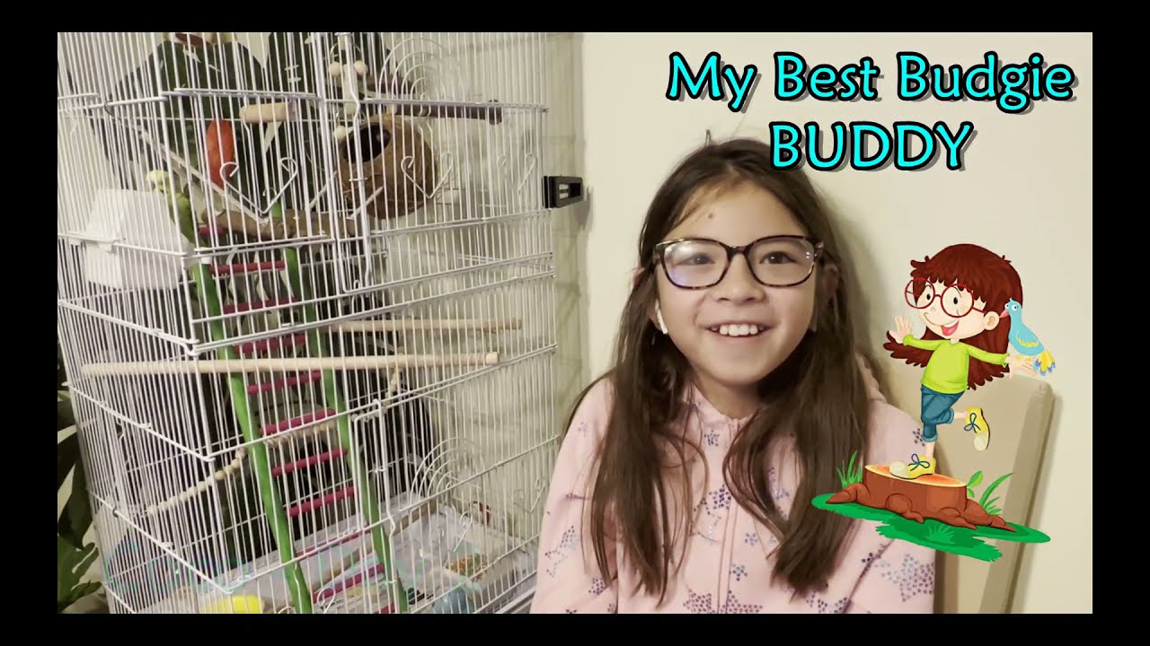 Day 2 with Coco the Budgie