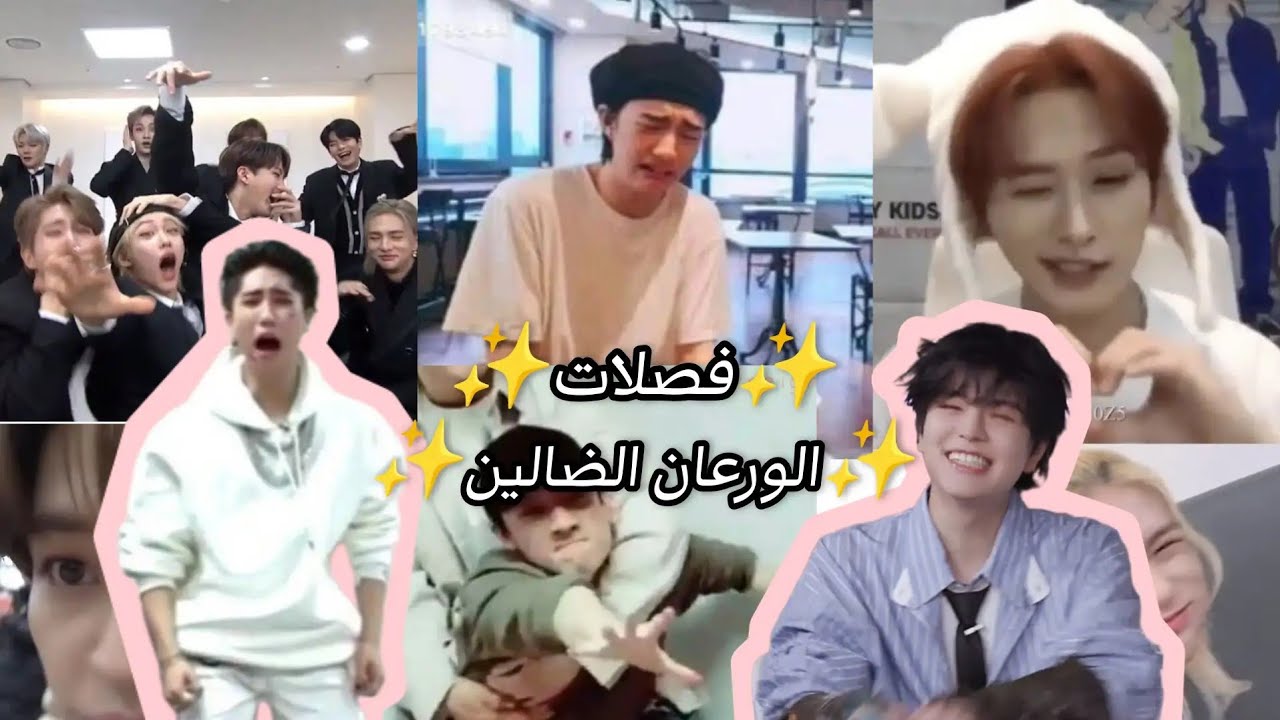 فصلات ستراي كيدز ✨ الورعان الضالين ✨