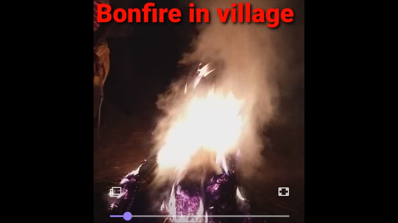 Bonfire night in village with fox scream| How to build a bonfire| Winter fire| Cracking fire sound