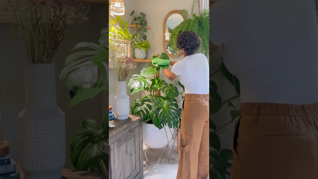 Cleaning & Plant Care💫#beautiful #plants #cleaning #homedecor #lifestyle #inspiration #lifestyle