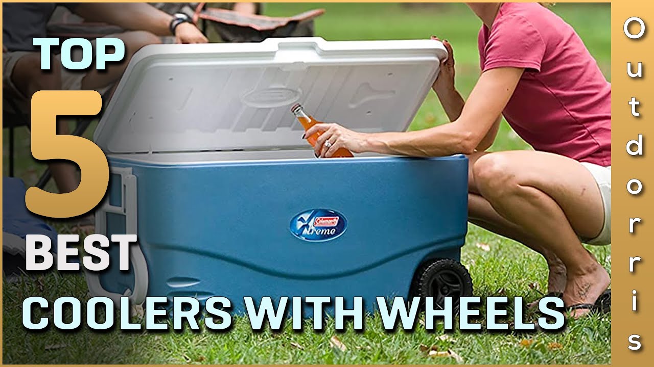 Top 5 Best Coolers with Wheels on the Market Today | Review in 2025