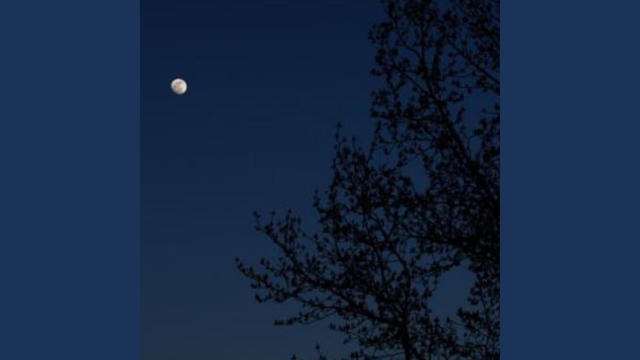 Noche Oscura