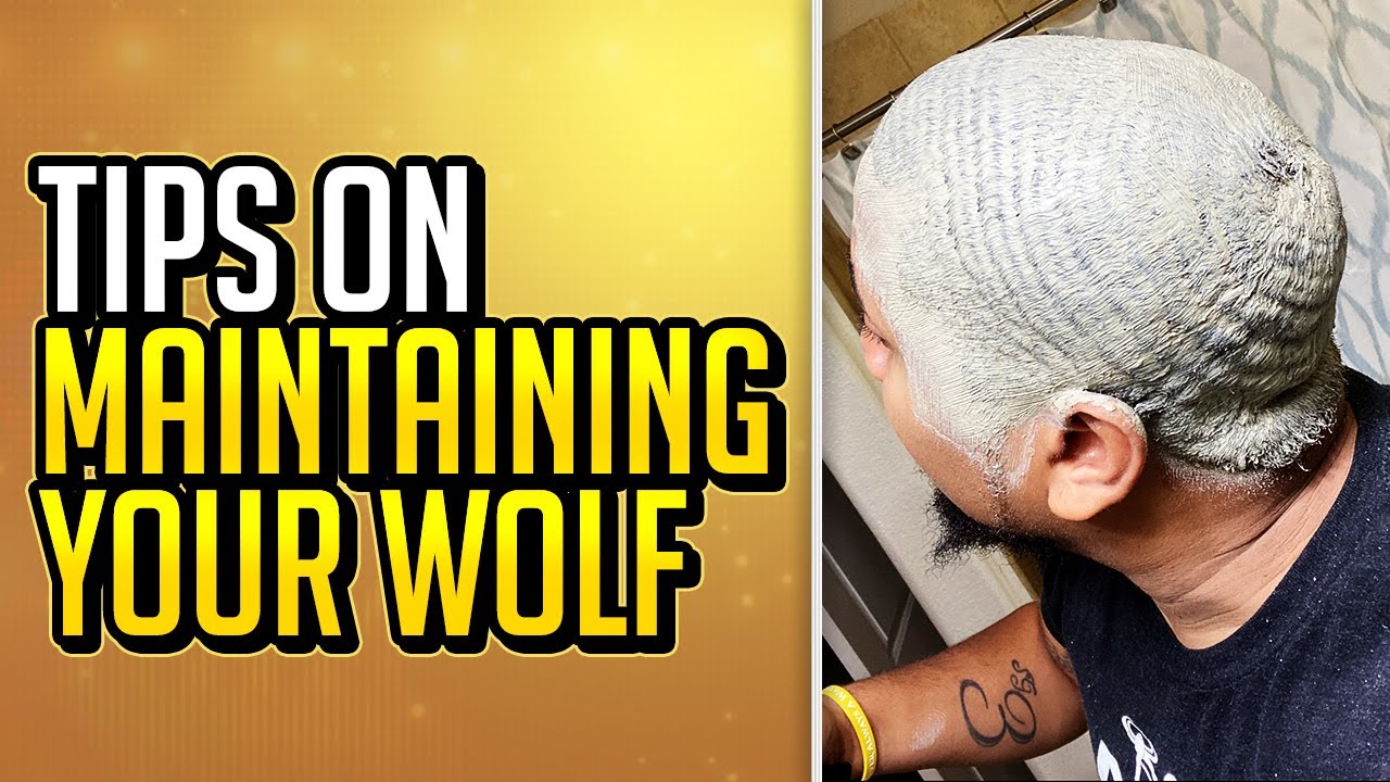 Tips on Maintaining your Wolf during Quarantine!