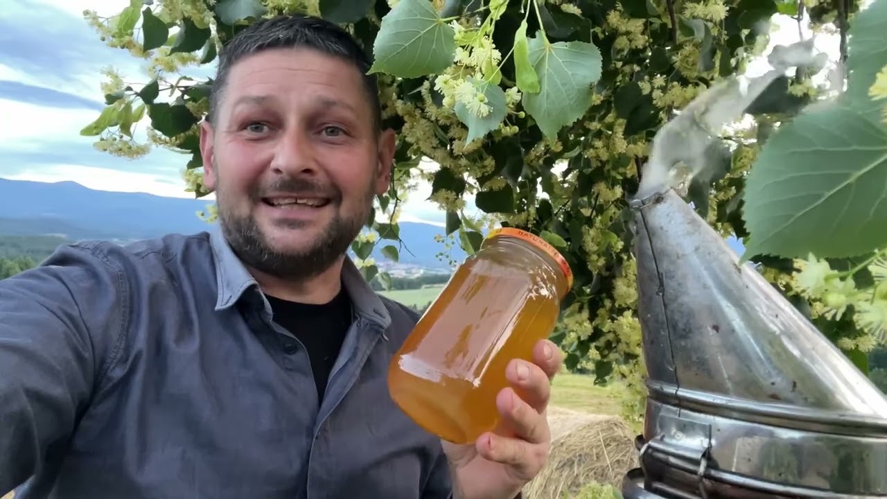Mi&oacute;d lipowy właściwości co leczy ?